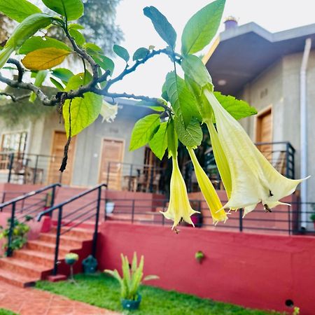 Babylon Lodge Marangu Exterior photo