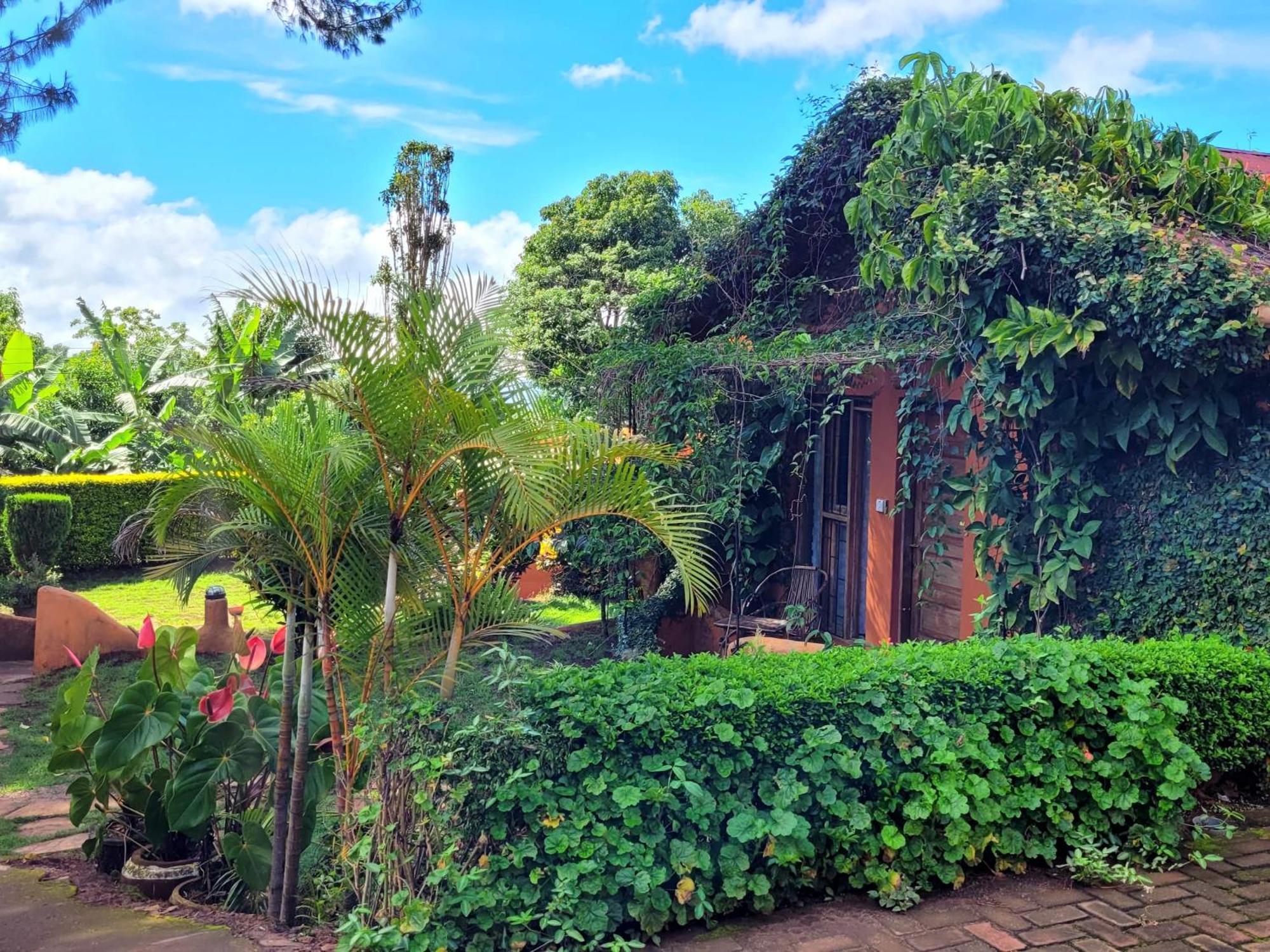 Babylon Lodge Marangu Exterior photo