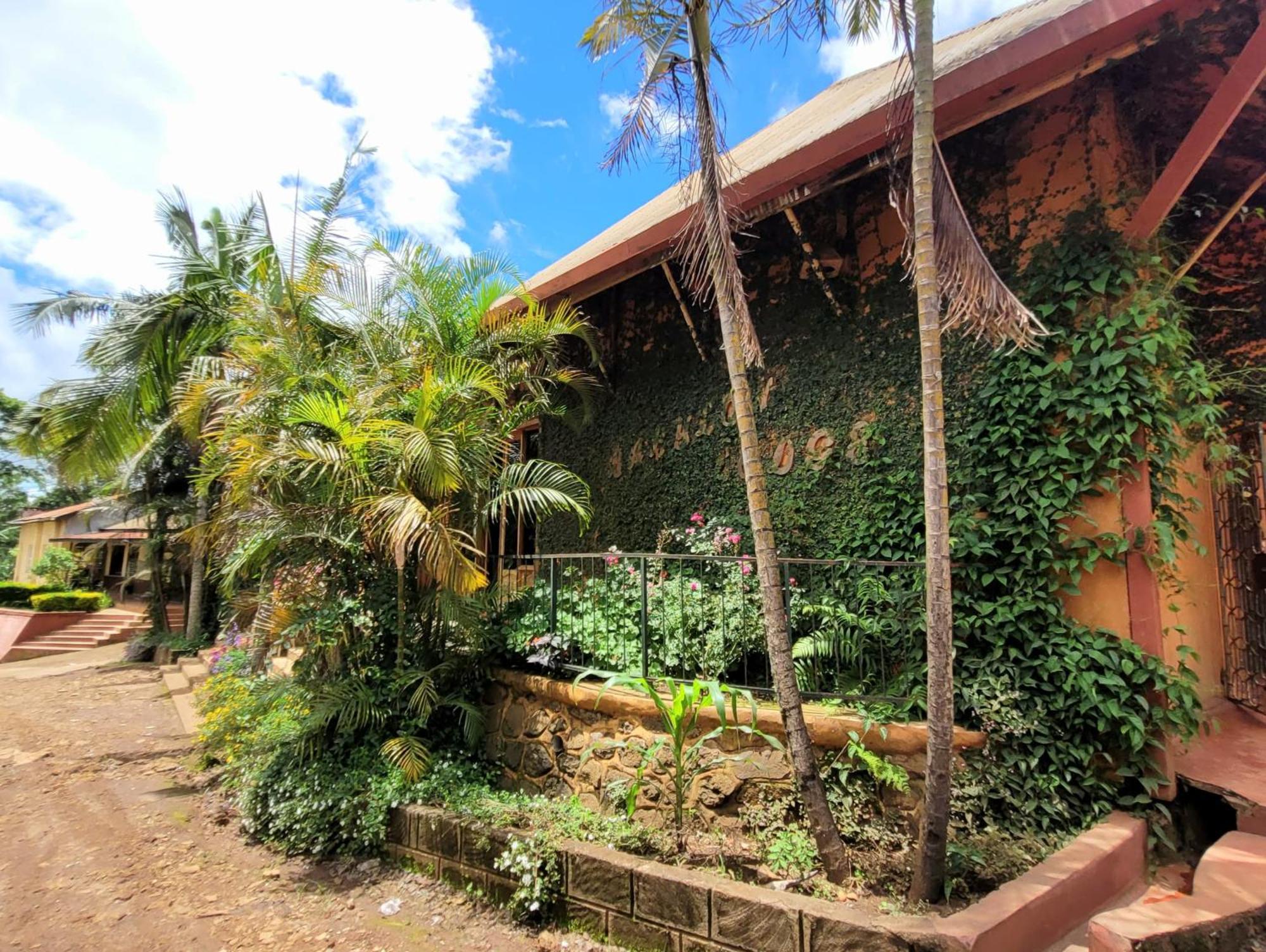 Babylon Lodge Marangu Exterior photo