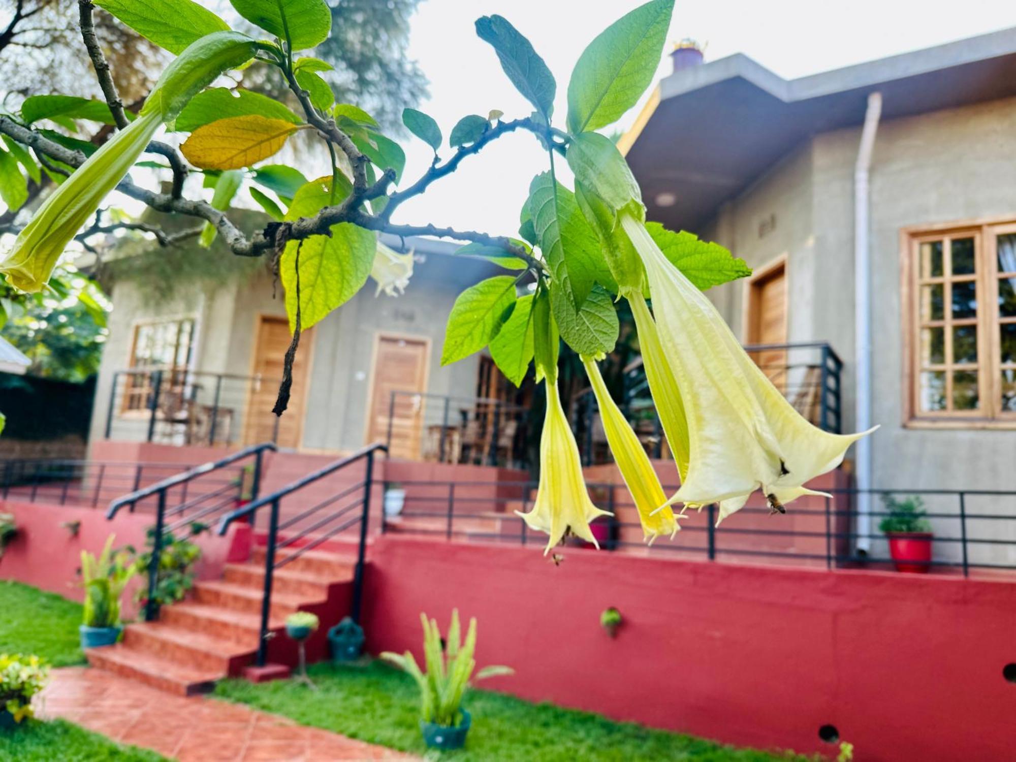 Babylon Lodge Marangu Exterior photo